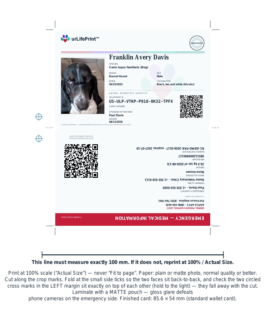The printable wallet-card sheet: fold-over card block with front and rotated emergency back, crop marks, 100 mm calibration line, and printing instructions